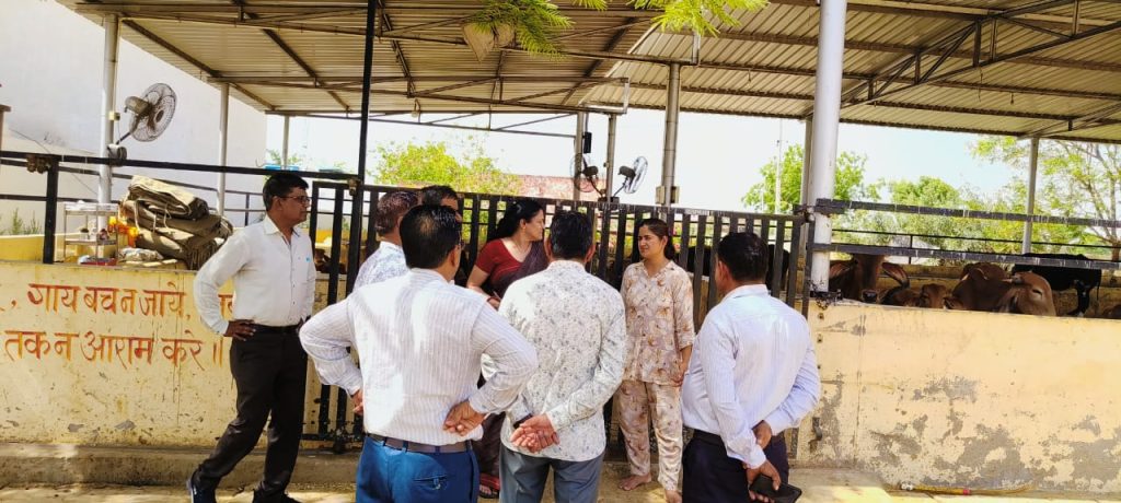 गौ सेवा देखकर मन प्रफुल्लित: डॉ.अलका गुप्ता