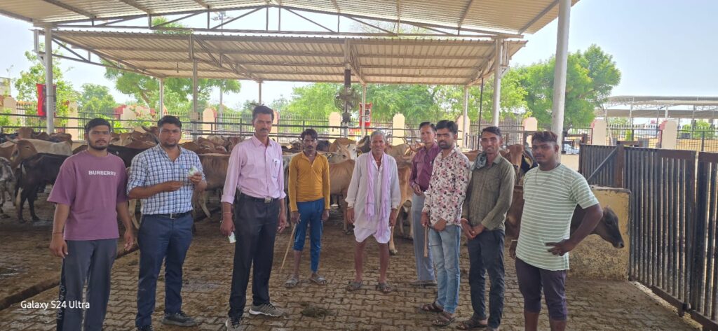 A cleanliness drive was carried out in Bari Mata Gaushala under the Vande Ganga water conservation public campaign