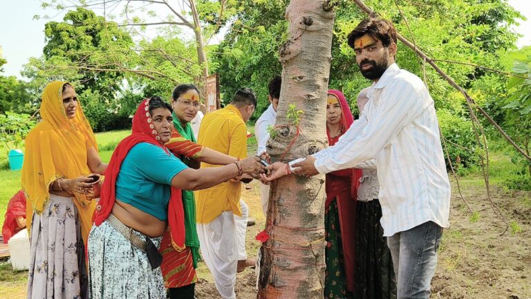 बाड़ी माता एवं कल्पवृक्ष का दर्शन
